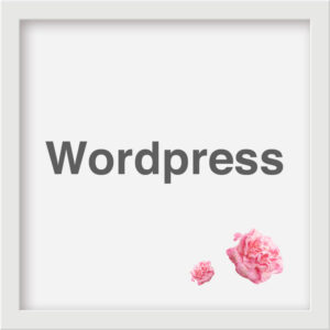 Wordpress-Website erstellen lassen - der einfache Weg zur Website